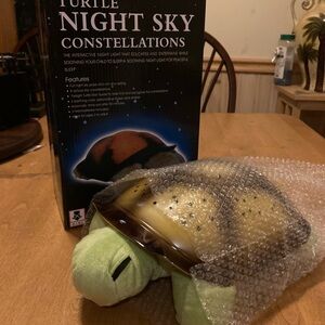 Turtle night sky star constellations